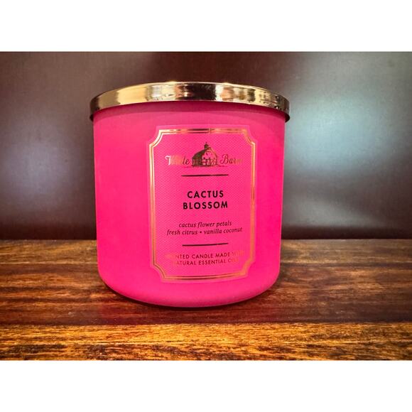 Barn 3-Wick Candle - Cactus Blossom - 14.5 oz - Picture 1 of 5